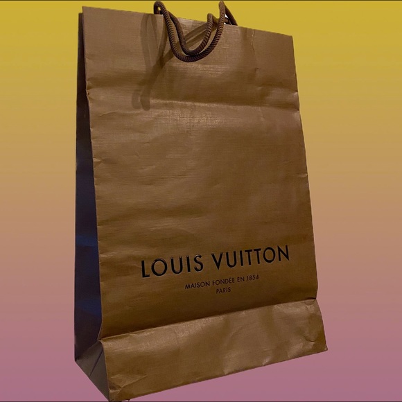 Louis Vuitton Other - LOUIS Vuitton Brown Shopping Bag